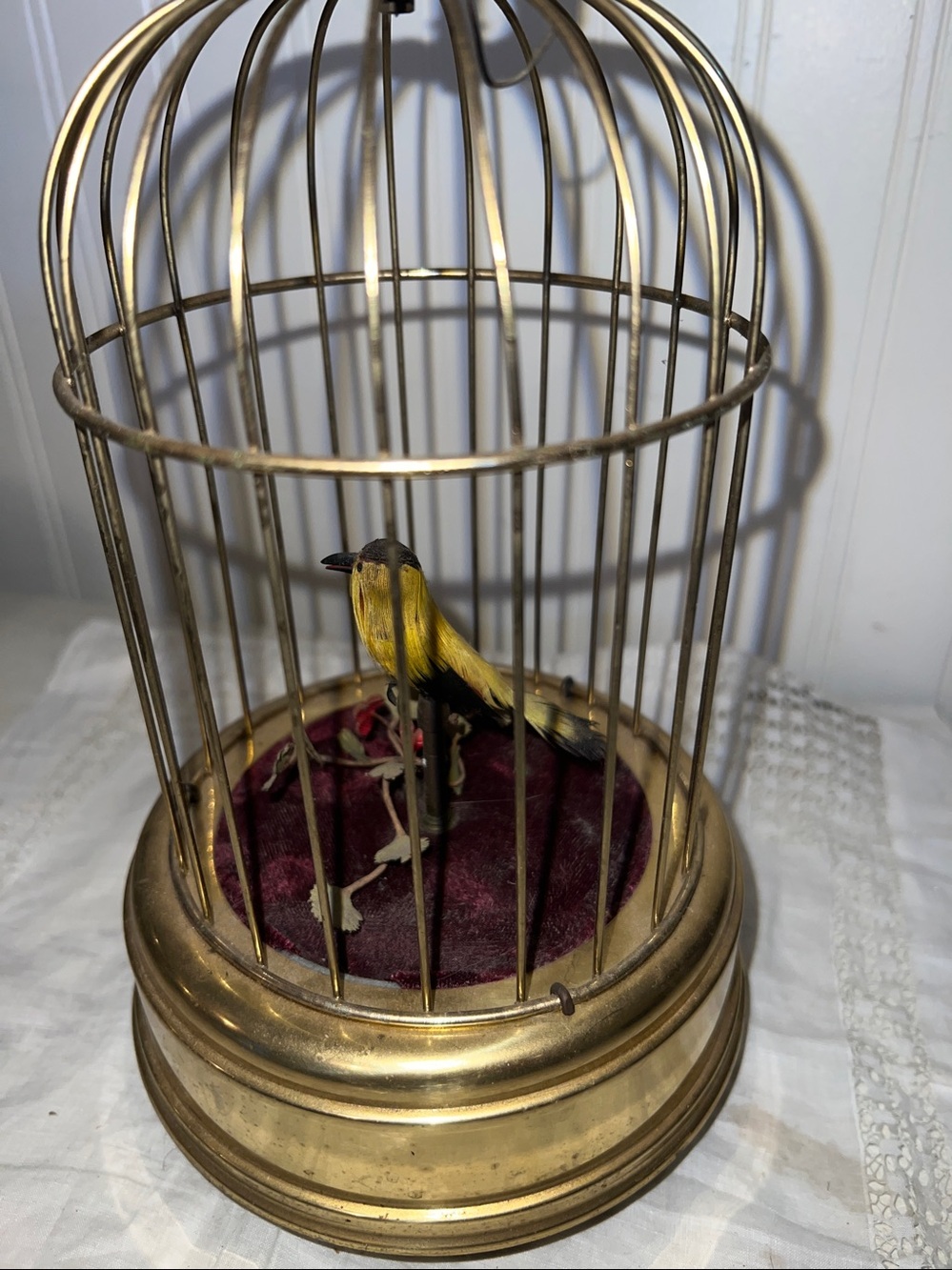 Early 20th Century Musical Bird Automaton - Picture 3 of 8